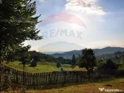 Vanzare 3 case de vacanta si 15750 mp teren, Botiza, Mara... 