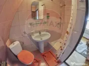 Vanzare 3 case de vacanta si 15750 mp teren, Botiza, Mara... 