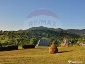 Vanzare 3 case de vacanta si 15750 mp teren, Botiza, Mara... 