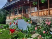 Vanzare 3 case de vacanta si 15750 mp teren, Botiza, Mara... 