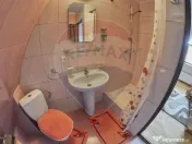 Vanzare 3 case de vacanta si 15750 mp teren, Botiza, Mara... 