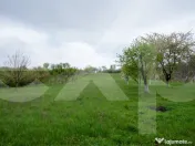 Proprietate unică, în zonă verde și liniștita 