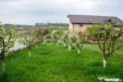 Proprietate unică, în zonă verde și liniștita 