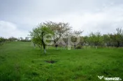 Proprietate unică, în zonă verde și liniștita 
