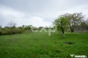 Proprietate unică, în zonă verde și liniștita 