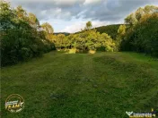 FILM! Teren extravilan, Ojdula, 4.800 mp, zona pitoreasca 