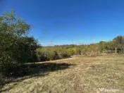 Teren Babana 5000mp intravilan 