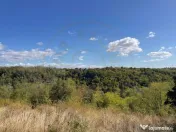 Teren Babana 5000mp intravilan 