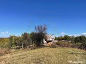 Teren Babana 5000mp intravilan 