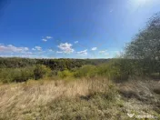 Teren Babana 5000mp intravilan 