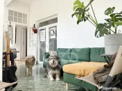 Casa cu vad comercial in Salonta 