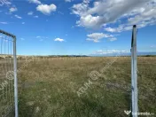 Teren 4200 mp situat in extravilanul zona Calea Surii Mici S 