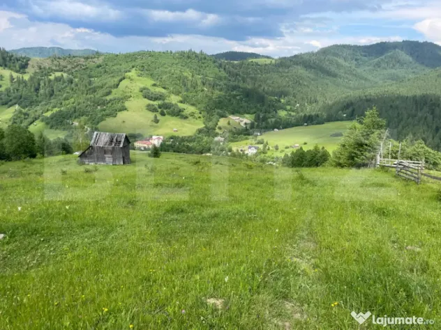 Teren extravilan de vanzare, 2 ha - Campulung Moldovenesc, z