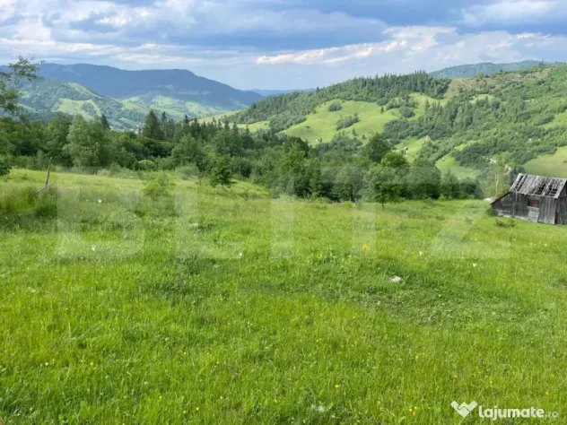 Teren extravilan de vanzare, 2 ha - Campulung Moldovenesc, z