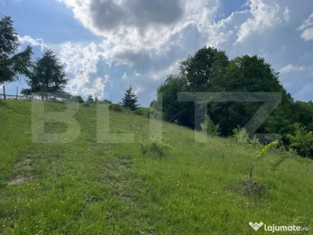 Teren extravilan de vanzare, 2 ha - Campulung Moldovenesc, z