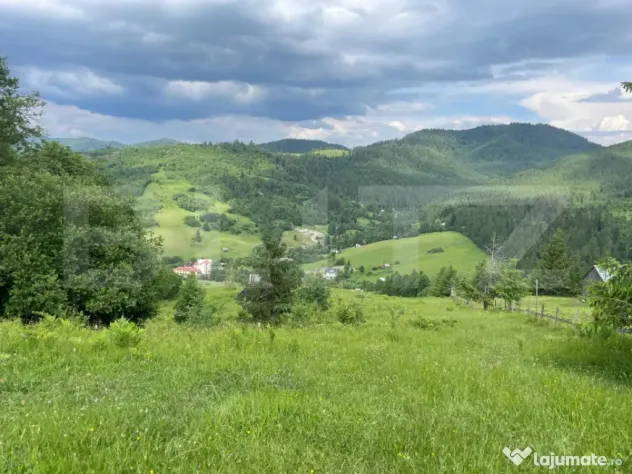 Teren extravilan de vanzare, 2 ha - Campulung Moldovenesc, z