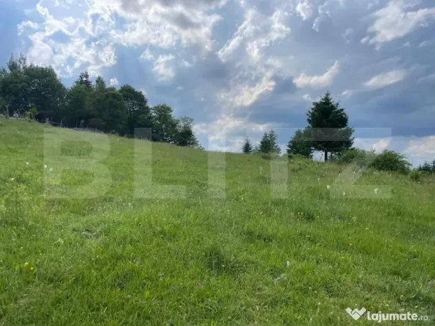 Teren extravilan de vanzare, 2 ha - Campulung Moldovenesc, z