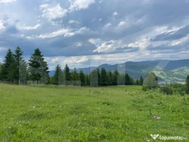 Teren extravilan de vanzare, 2 ha - Campulung Moldovenesc, z