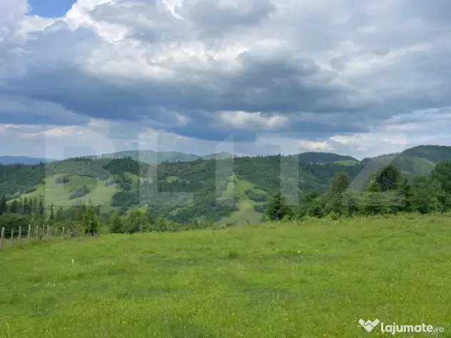 Teren extravilan de vanzare, 2 ha - Campulung Moldovenesc, z