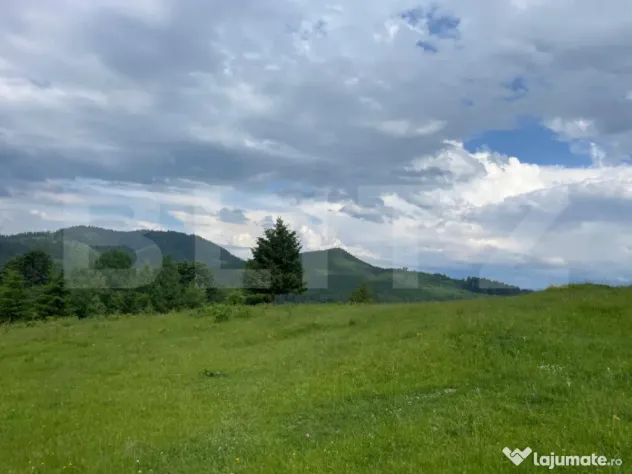 Teren extravilan de vanzare, 2 ha - Campulung Moldovenesc, z