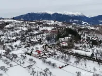 Casă de vacanță/Pensiune | Bran | 728 mp curte