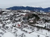 Casă de vacanță/Pensiune | Bran | 728 mp curte