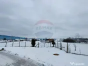 Teren intravilan 9.574 mp în Săliște, poziție strateg... 