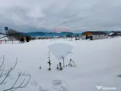 Teren intravilan 9.574 mp în Săliște, poziție strateg... 