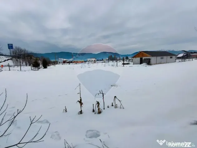 Teren intravilan 9.574 mp în Săliște, poziție strateg...