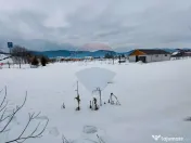 Teren intravilan 9.574 mp în Săliște, poziție strateg... 