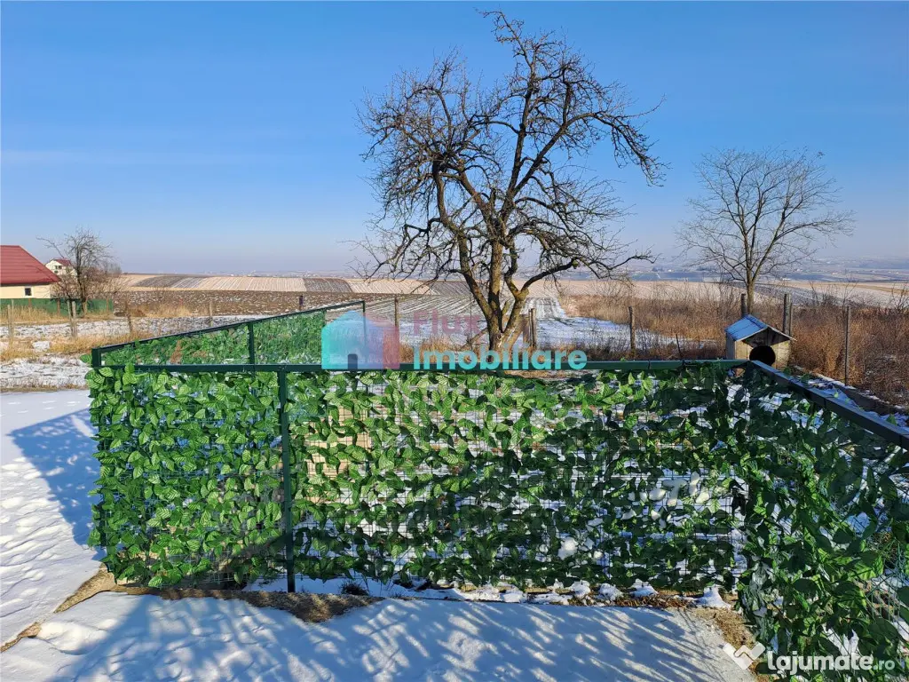 Vila spatioasa in Liteni Moara