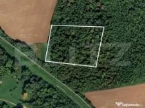 Parcelă 10.000 mp la liziera pădurii, Șag – front strad