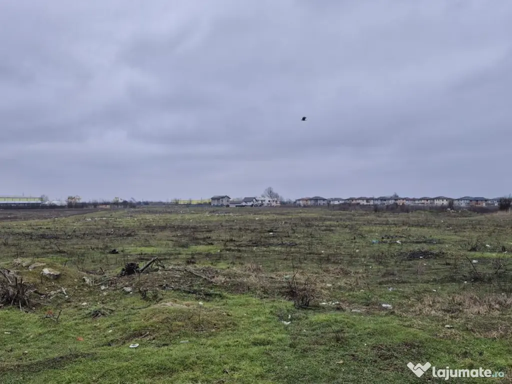 Teren intravilan 31497 mp - Chitila zona industriala de hale