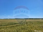 Teren intravilan 30,000mp Corbeanca P+1+E2 