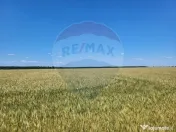 Teren intravilan 30,000mp Corbeanca P+1+E2 