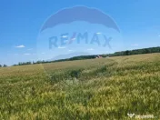 Teren intravilan 30,000mp Corbeanca P+1+E2 