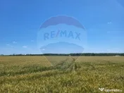 Teren intravilan 30,000mp Corbeanca P+1+E2 