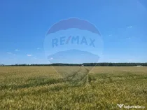 Teren intravilan 30,000mp Corbeanca P+1+E2