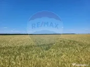 Teren intravilan 30,000mp Corbeanca P+1+E2 