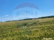 Teren intravilan 30,000mp Corbeanca P+1+E2 