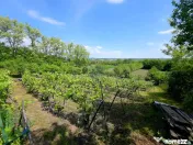Teren intravilan 4,516mp Doina 