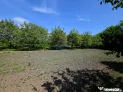 Teren intravilan 4,516mp Doina 