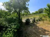 Teren intravilan 4,516mp Doina 