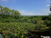 Teren intravilan 4,516mp Doina 