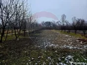 Teren intravilan 4,516mp Doina 