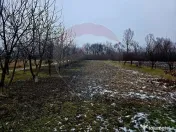 Teren intravilan 4,516mp Doina 