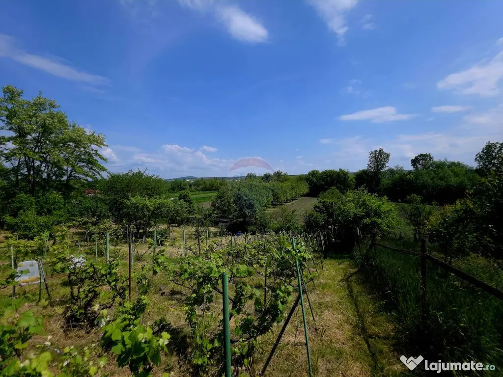 Teren intravilan 4,516mp Doina