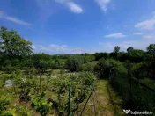 Teren intravilan 4,516mp Doina 