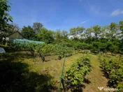 Teren intravilan 4,516mp Doina 