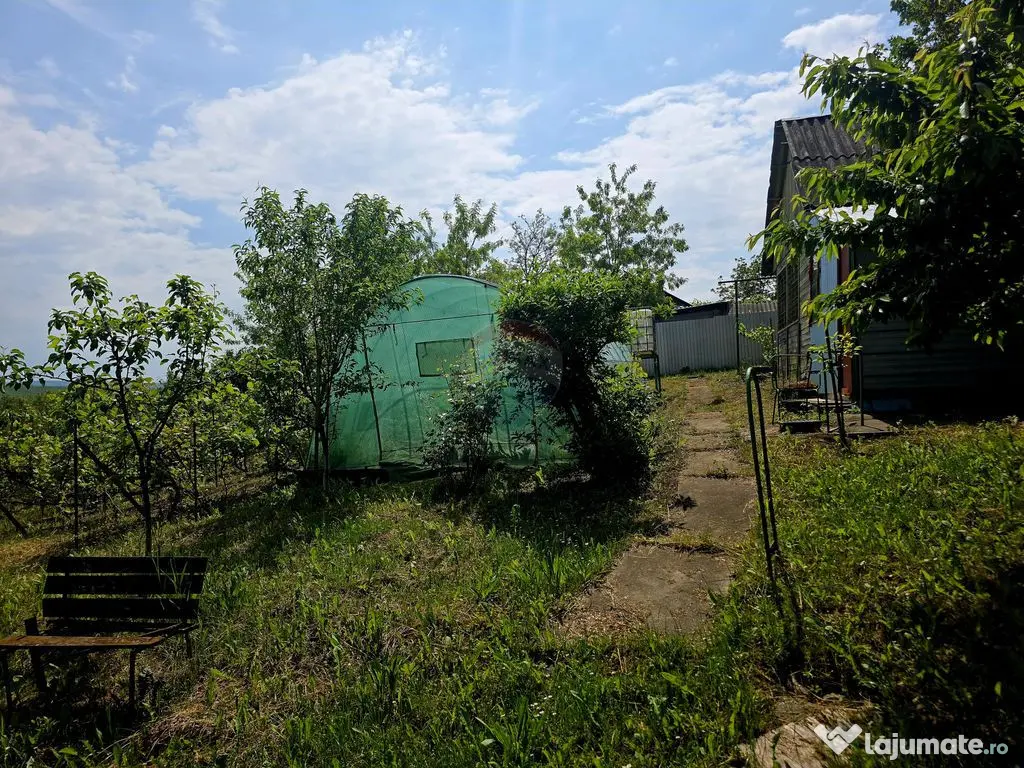 Teren intravilan 4,516mp Doina